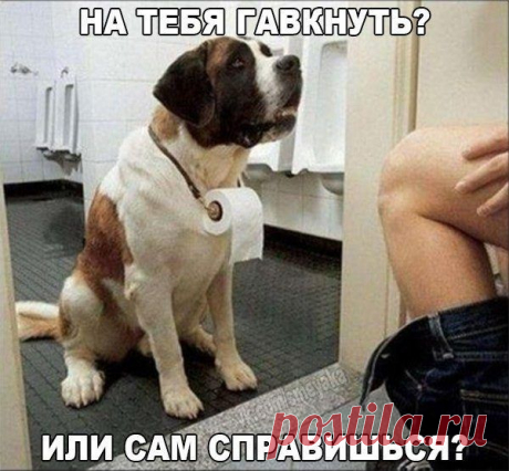 Смехотерапия. Победим хандру!