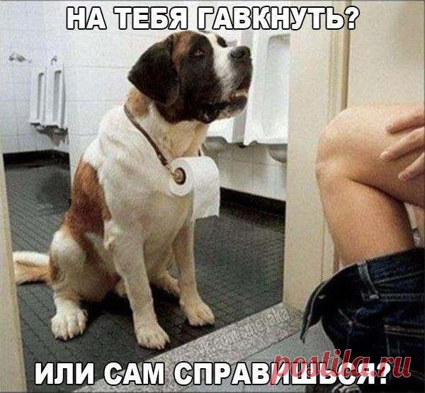 Смехотерапия. Победим хандру!