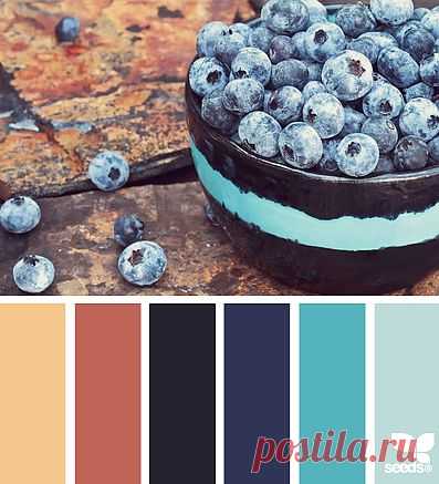 Design Seeds® | find your palette