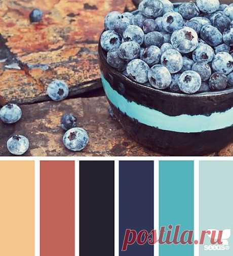 Design Seeds® | find your palette