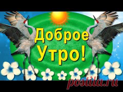 Пожелание Доброго Утра, светлого, приятного дня, благополучия!