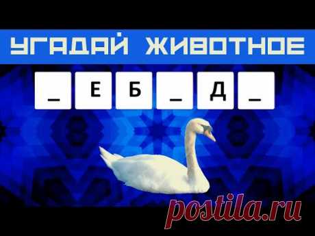 Видеоигра 🐘 Вставь пропущенные буквы и угадай животное 👀 Тест про животных