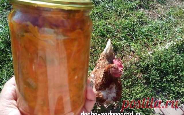 Салат из моркови на зиму без стерилизации : в мультиварке