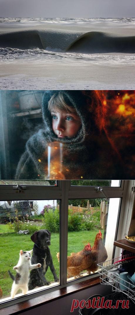 Лучшие фотографии месяца