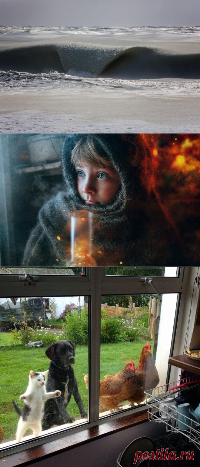 Лучшие фотографии месяца