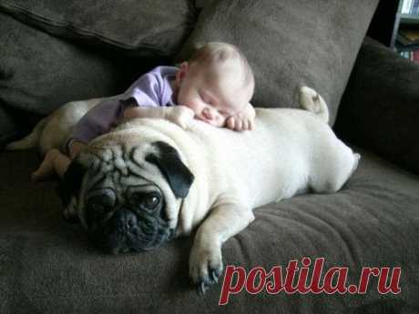 какие они потешные!!!!  Более 40 потрясающих  фото!!!! Can You Make It Through This Post Without Squealing? | Shining world