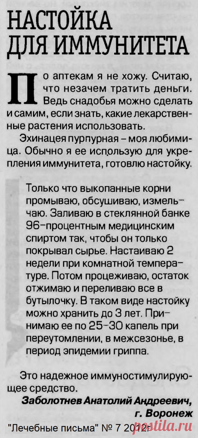 Настойка для иммунитета