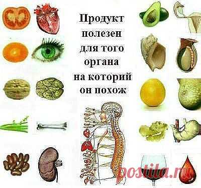 А ВЫ ЗНАЕТЕ, ЧТО СОЛЕВЫЕ ПОВЯЗКИ ТВОРЯТ ЧУДЕСА? 
Этот рецепт был опубликован в ЗОЖ в 2002 г. К сожалению, не хорошо забыт, а специально вытравлен из памяти и дискредитирован фармацевтическими компаниями в погоне за наживой. Почти также работает английская соль (магнезия) в компрессах, иногда при мастопатиях, ушибах. Ещё солевые ванны, промывание носа, протирание солевым раствором лица от морщин, промывание пазух носа... Это всё проверено и работает! 
Данный рассказ был най...