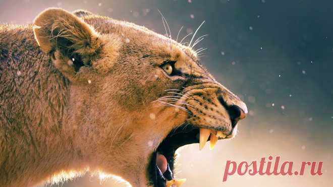 С этими четырьмя знаками зодиака очень непросто.🚀