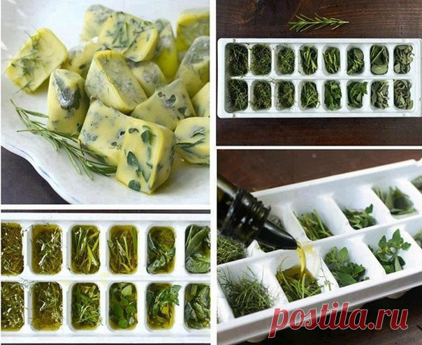 Хорошая идея для летней зелени.