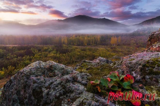 Вдохновляйтесь и путешествуйте! Волшебные пейзажи осеннего Алтая — Фотоискусство
