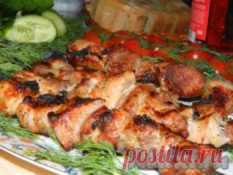 Шашлык в луково-лимонном маринаде (рецепт с фото) | RUtxt.ru