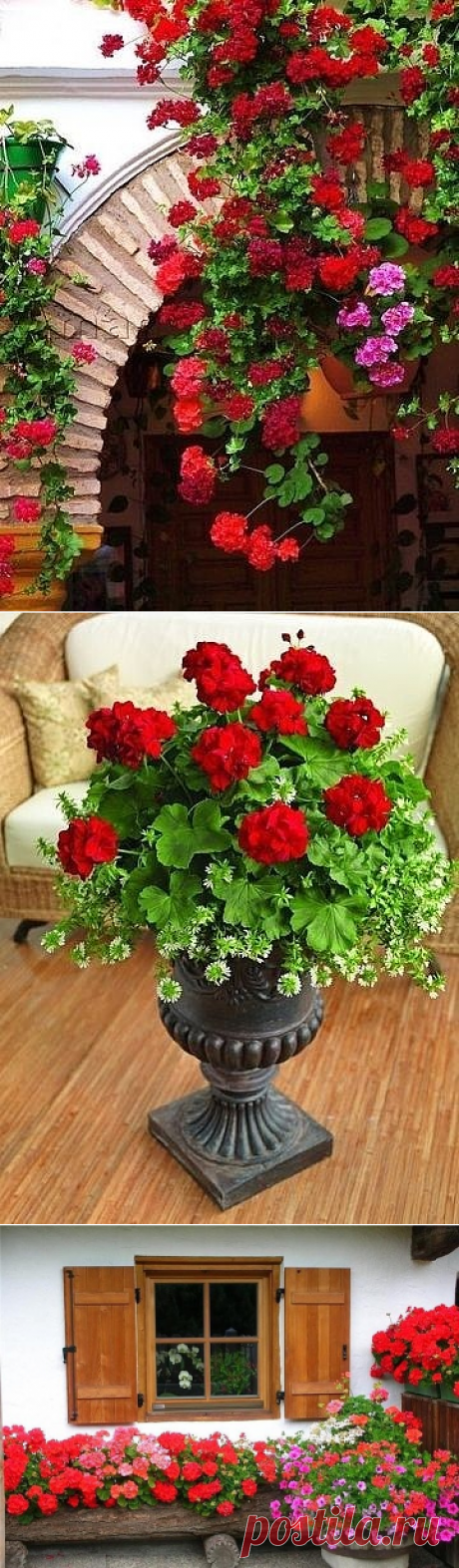 (63) Одноклассники