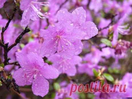 ВСЁ ЛУЧШЕЕ ИЗ YOU TUBE (16 плюс)
wAw wБw
