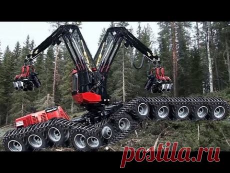 Dangerous Fastest Chainsaw Cutting Tree Machines, Big Felling Tree Heavy Equipment Machine