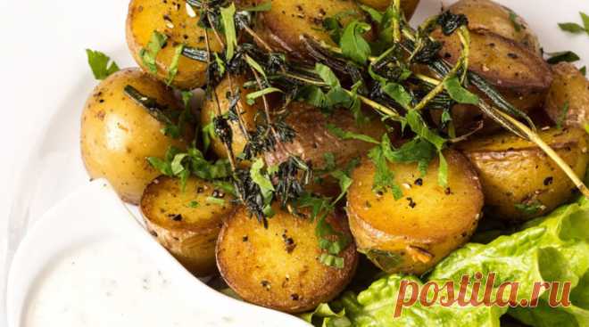 Семь вкуснейших способов приготовить молодой картофель