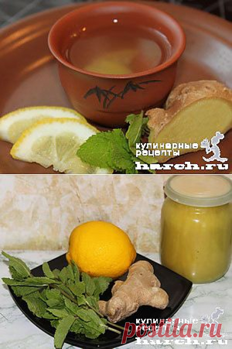 Имбирный чай с мятой | Харч.ру - рецепты для любителей вкусно поесть