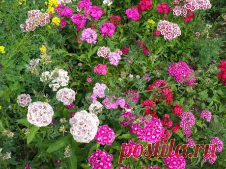 Владимир Вылегжанин - Google+