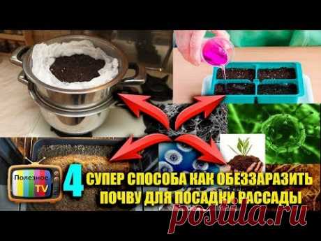 4 СУПЕР СПОСОБА КАК ОБЕЗЗАРАЗИТЬ ПОЧВУ ДЛЯ ПОСАДКИ РАССАДЫ