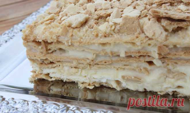 Торты без выпечки: 2 быстрых и вкусных рецепта - торты, торты без выпечки, здоровье, десерты, рецепты