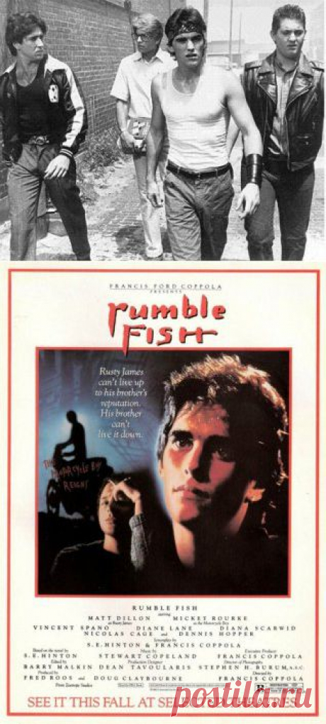 Бойцовая рыбка/Rumble Fish (США, 1983г.) » Смотреть