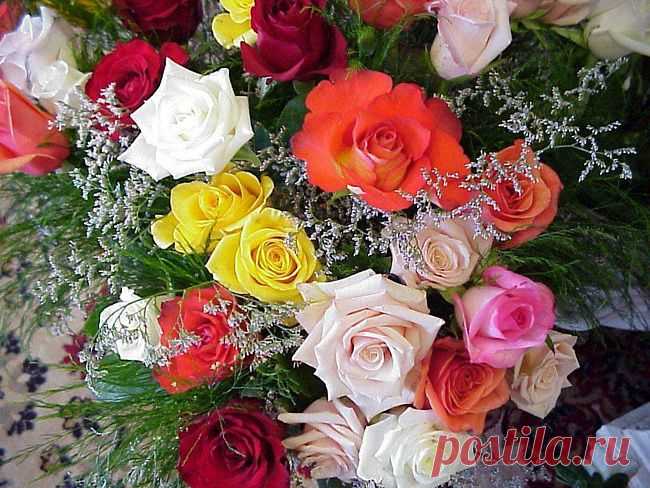 Когда человеку кажется, чтo всё идёт наперекосяк, в егo жизнь пытается войти нечто чудеснoе. Далай Лама