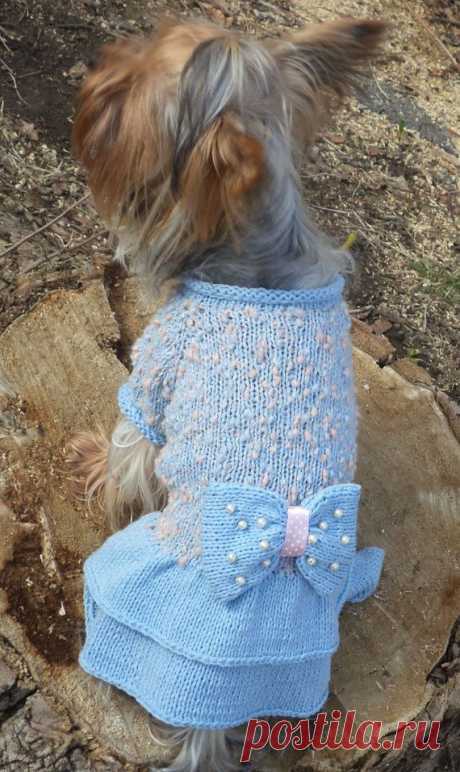 dog clothes/dog clothing/dog sweater/pet от LyudmilaHandmade