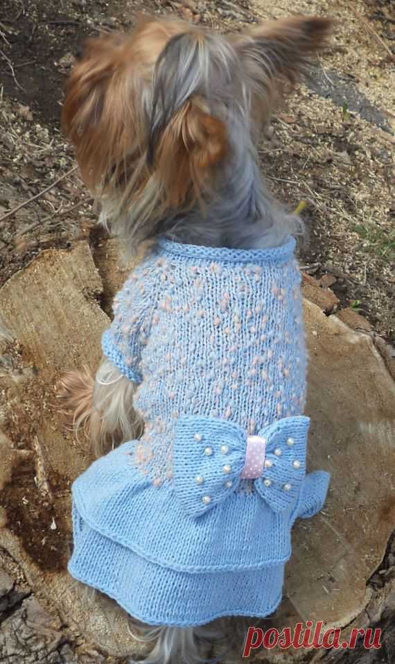 dog clothes/dog clothing/dog sweater/pet от LyudmilaHandmade