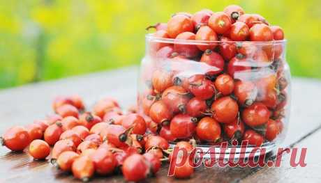 Шиповник – экстренная помощь для печени! Однодневный курс очистки и оздоровления.
