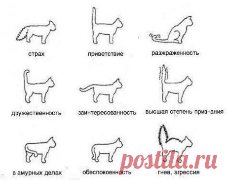 Мой Мир@Mail.Ru