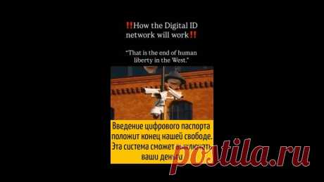 Пост на стене Как будет работать цифровой паспорт и ID