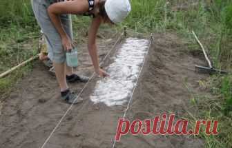 Раскисление почвы содой - можно ли использовать это средство?