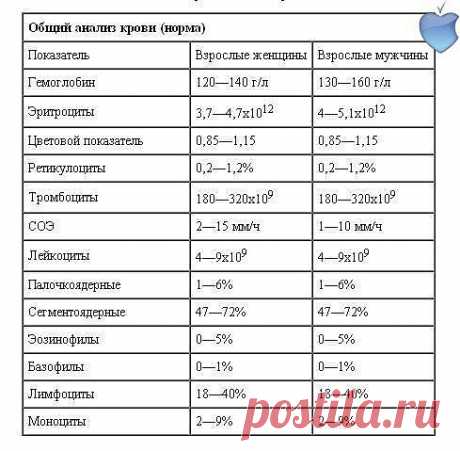 Расшифровываем анализы крови.