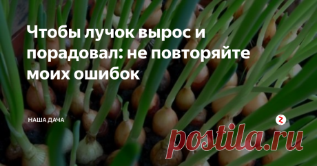 Чтобы лучок вырос и порадовал: не повторяйте моих ошибок Повсеместно лук сеять начинают уже в  мае, грядущие выходные – отличная возможность отдохнуть на даче и посадить севок в грунт. В статье я расскажу, как избежать главных ошибок при посадке лука  в грядки. В свое время я так же «напортачила» - севок ушел в стрелку, а скудный урожай, что я собрала, сгнил еще до нового года. Какие самые главные ошибки при посадке лука? Сейчас разберемся.