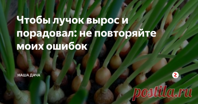 Чтобы лучок вырос и порадовал: не повторяйте моих ошибок Повсеместно лук сеять начинают уже в  мае, грядущие выходные – отличная возможность отдохнуть на даче и посадить севок в грунт. В статье я расскажу, как избежать главных ошибок при посадке лука  в грядки. В свое время я так же «напортачила» - севок ушел в стрелку, а скудный урожай, что я собрала, сгнил еще до нового года. Какие самые главные ошибки при посадке лука? Сейчас разберемся.