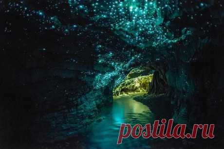 Пещеры светлячков, Новая Зеландия. Пещеры светлячков — это одно из самых привлекательных мест в Новой Зеландии. Её главная особенность — тысячи грибных комариков, покрывающих свод пещеры, глядя на который создается впечатление, что смотришь на звездное небо. Вовнутрь можно попасть на небольшой лодке. Предварительно вам советуется закрыть глаза, что бы они отвыкли от яркого уличного света.