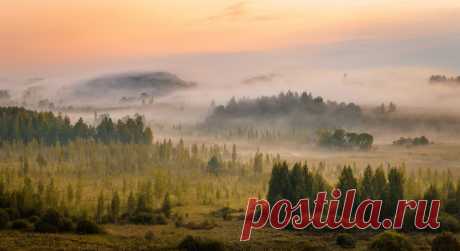 Утро туманное.. Фотограф Роман Дмитриев