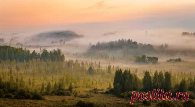 Утро туманное.. Фотограф Роман Дмитриев