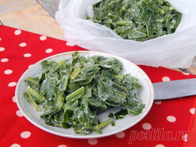 Как заморозить щавель на зиму рецепт с фото - 1000.menu