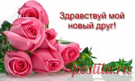 Привет друг