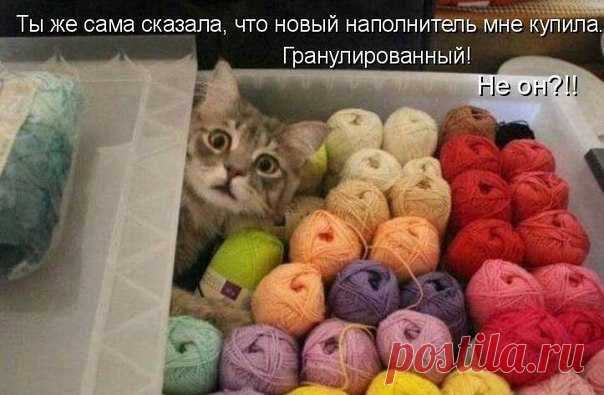 Виктория Даниленко | ВКонтакте