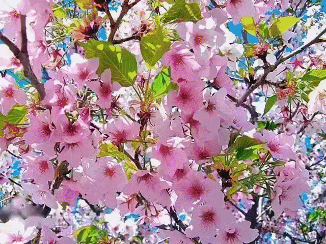 Жизнь коротка – одно мгновение, не трать года на сожаление. 
Не вспоминай ошибок прошлого, весну встречай и верь в хорошее!