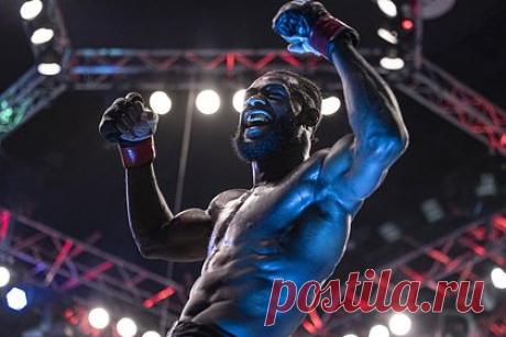 Стерлинг раскритиковал кавказских болельщиков. Чемпион UFC в легчайшем весе, американский боец смешанного стиля (MMA) Алджамейн Стерлинг раскритиковал болельщиков из кавказских регионов России. Спортсмен заявил, что чеченцы и дагестанцы не умеют анализировать поединки, опираясь только на впечатления от предыдущих выступлений бойца.