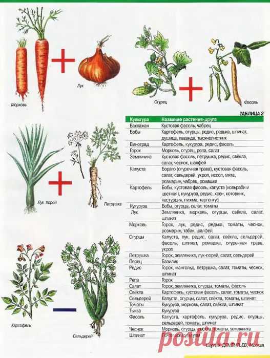 Кто с кем "дружит"