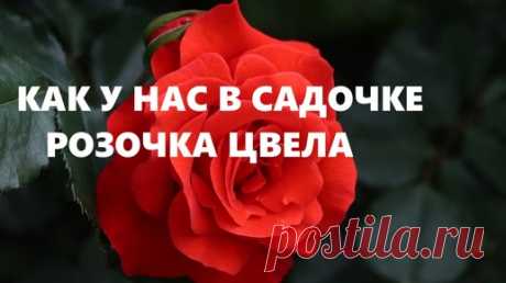 Эко-сумка с крэйзи-розой.(сентябрь 2024г) | НАТАЛЬЯ  БАЖИНА- творю,что хочу | Дзен