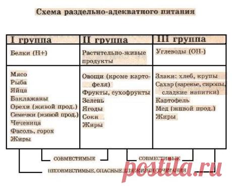 РАЗДЕЛЬНОЕ ПИТАНИЕ 1 — «паразиты в организме человека» | "ДОКТОР ЗДОРОВЬЕ"