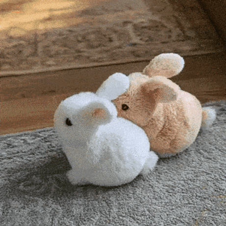 BunnyPal Give Kids the Real Fun, Real Connection!
