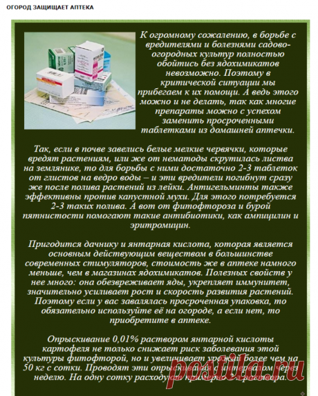 ОГОРОД ЗАЩИЩАЕТ АПТЕКА