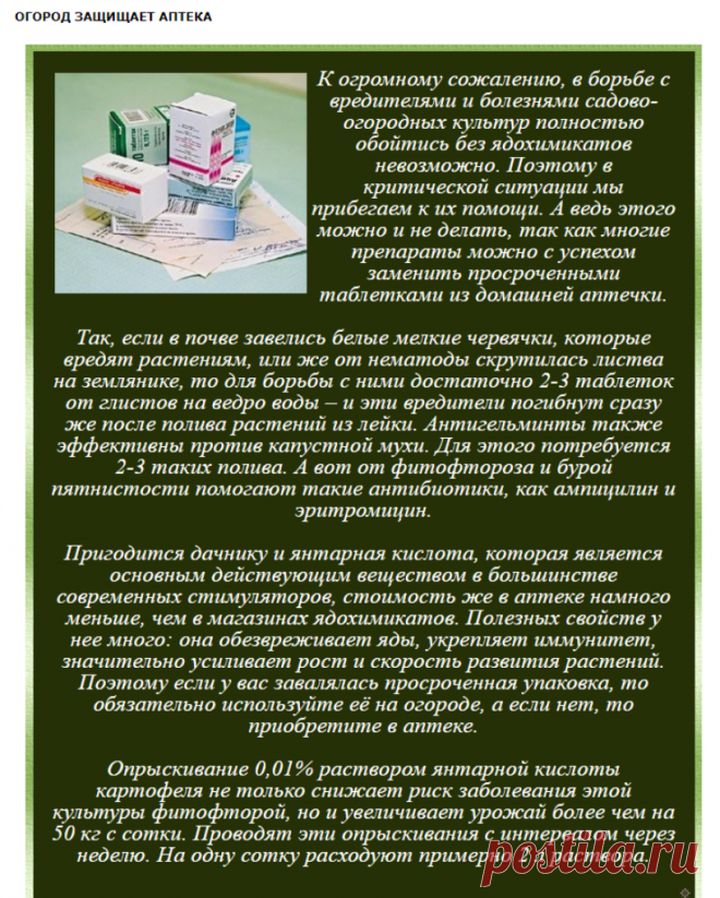 ОГОРОД ЗАЩИЩАЕТ АПТЕКА