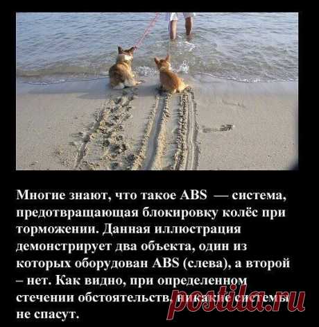 Начнем неделю с улыбки... Ха-хатунчики
